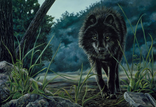 Black-Wolf-Hunting