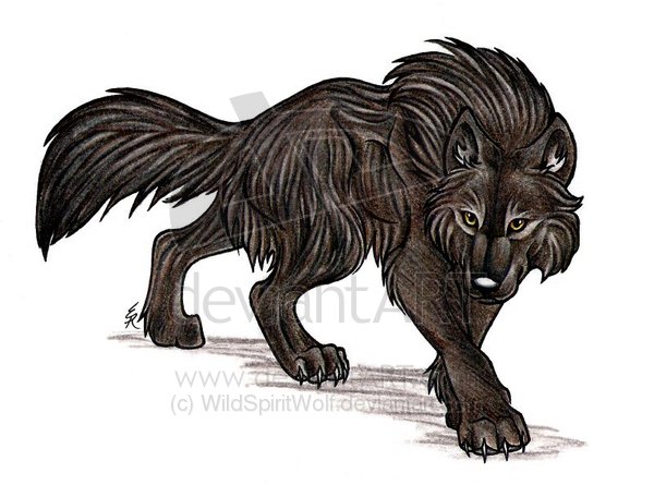 Dark_Werewolf_by_WildSpiritWolf